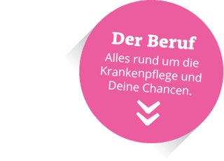 bfs-pic-kreis-beruf-mob